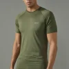 boohooMAN Man Active Muscle Fit T-shirt | Gym T-Shirts & Vests | Gym Clothes