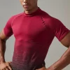 boohooMAN Man Active Ombre Seamless Muscle Fit T-shirt | Gym T-Shirts & Vests | Gym Clothes